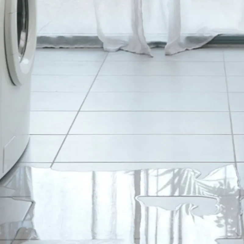 Appliance Leak Cleanup in Cass County, IN