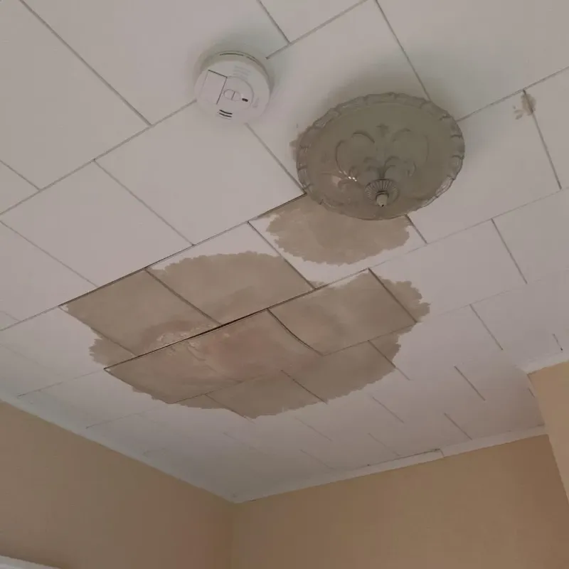 Ceiling Water Damage Repair in Cass County, IN