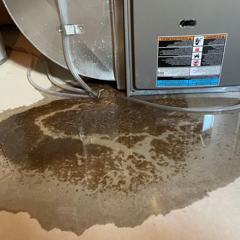 Pipe Burst and Leak Restoration in Cass County, IN
