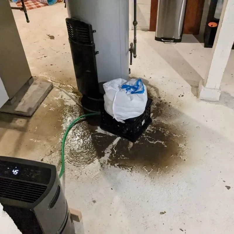 Sewage Backup Cleanup Service in Cass County, IN